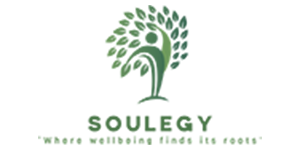 Soulegy