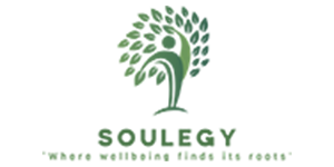 Soulegy